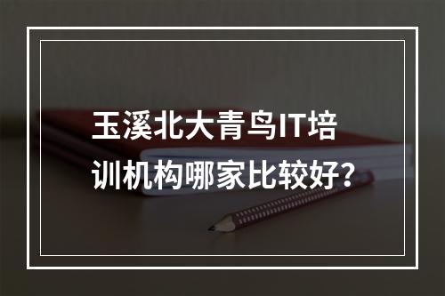 玉溪北大青鸟IT培训机构哪家比较好？