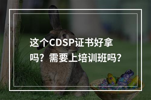 这个CDSP证书好拿吗？需要上培训班吗？