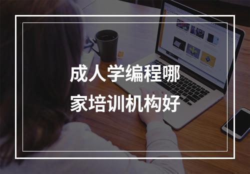 成人学编程哪家培训机构好