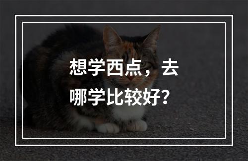 想学西点，去哪学比较好？