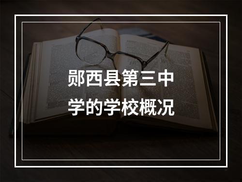 郧西县第三中学的学校概况