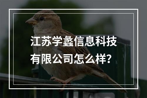 江苏学蠡信息科技有限公司怎么样？