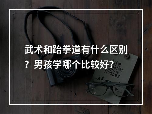 武术和跆拳道有什么区别？男孩学哪个比较好？