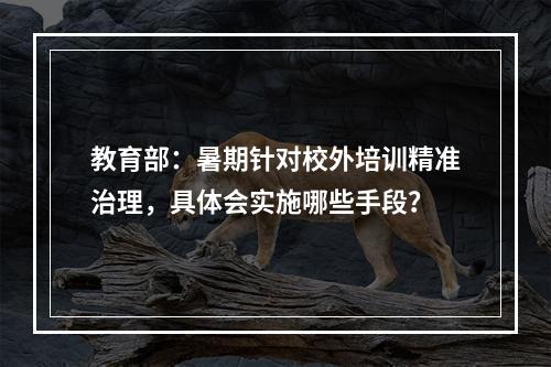 教育部：暑期针对校外培训精准治理，具体会实施哪些手段？