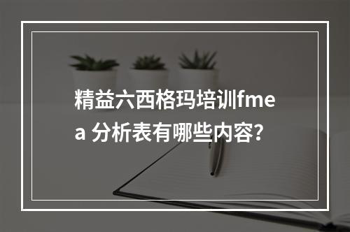 精益六西格玛培训fmea 分析表有哪些内容？