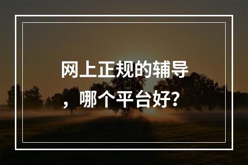 网上正规的辅导，哪个平台好？