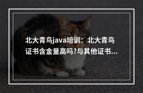 北大青鸟java培训：北大青鸟证书含金量高吗?与其他证书有什么区别？