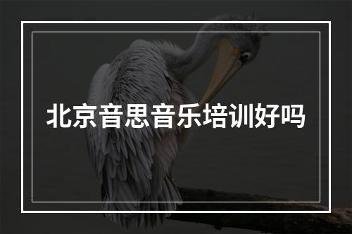 北京音思音乐培训好吗