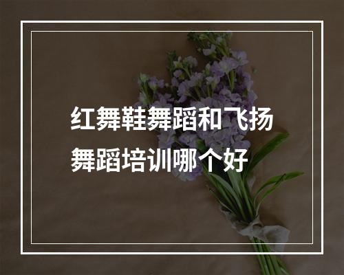 红舞鞋舞蹈和飞扬舞蹈培训哪个好