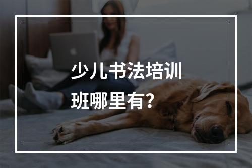 少儿书法培训班哪里有？