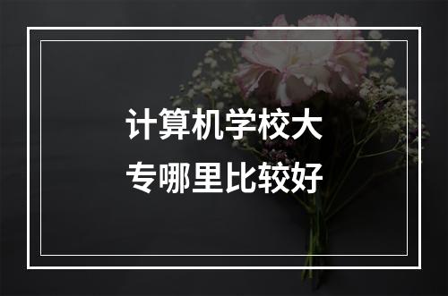 计算机学校大专哪里比较好