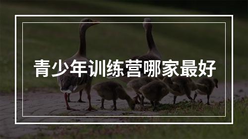 青少年训练营哪家最好