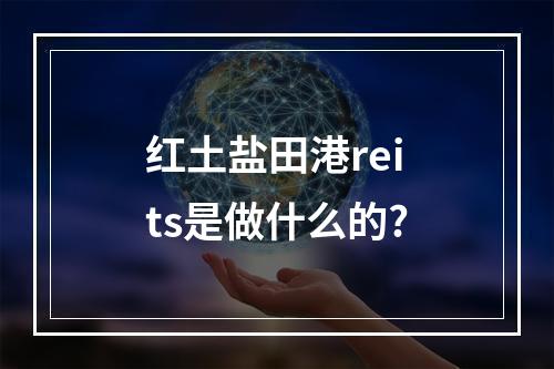 红土盐田港reits是做什么的?