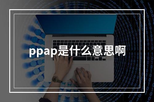 ppap是什么意思啊