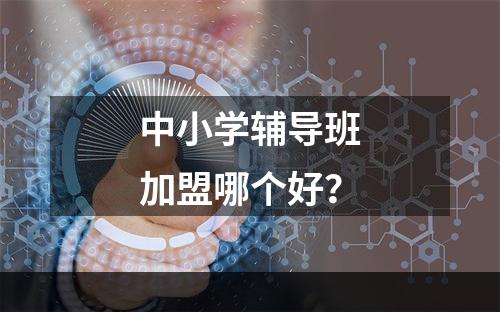 中小学辅导班加盟哪个好？