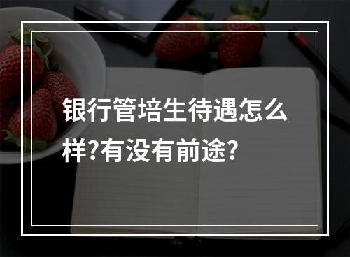 银行管培生待遇怎么样?有没有前途?