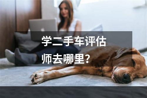 学二手车评估师去哪里？