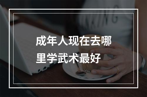 成年人现在去哪里学武术最好