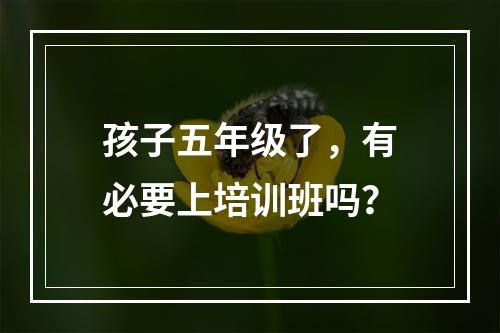 孩子五年级了，有必要上培训班吗？