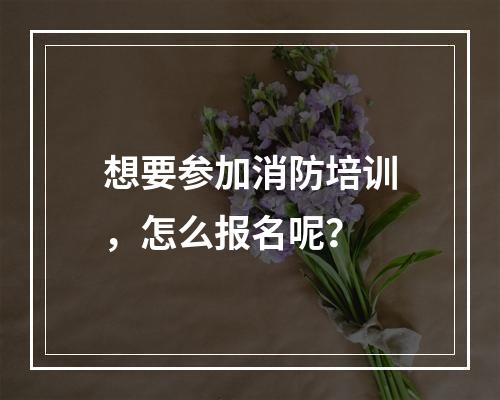 想要参加消防培训，怎么报名呢？