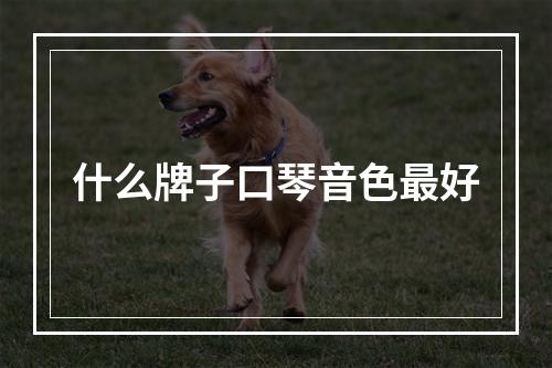 什么牌子口琴音色最好