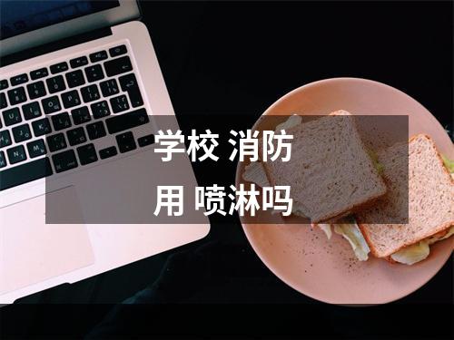 学校 消防 用 喷淋吗