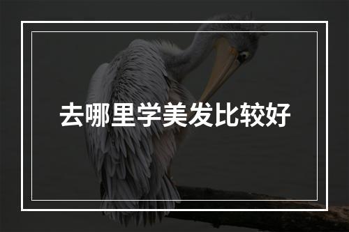 去哪里学美发比较好