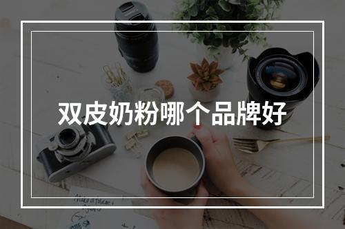 双皮奶粉哪个品牌好