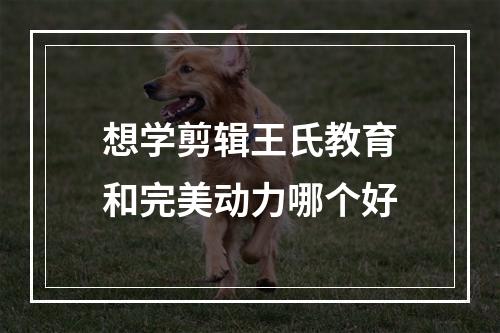 想学剪辑王氏教育和完美动力哪个好