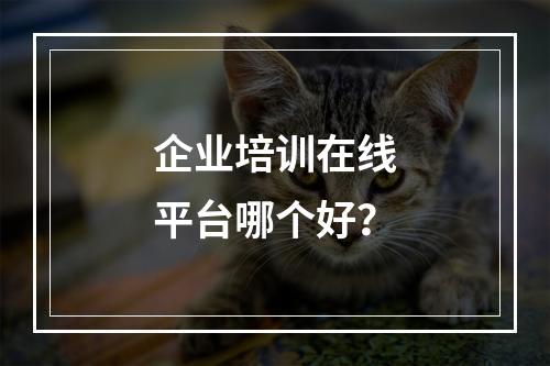 企业培训在线平台哪个好？