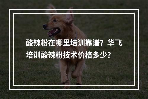 酸辣粉在哪里培训靠谱？华飞培训酸辣粉技术价格多少？