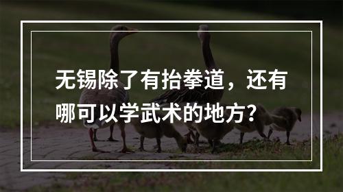 无锡除了有抬拳道，还有哪可以学武术的地方？