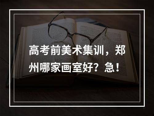 高考前美术集训，郑州哪家画室好？急！