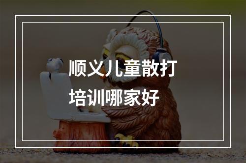 顺义儿童散打培训哪家好