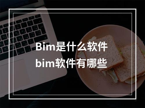 Bim是什么软件 bim软件有哪些