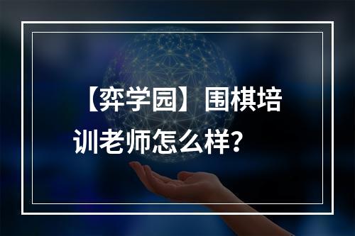 【弈学园】围棋培训老师怎么样？