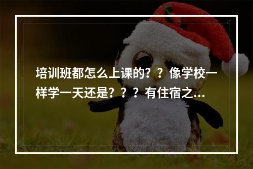 培训班都怎么上课的？？像学校一样学一天还是？？？有住宿之类的吗？？？