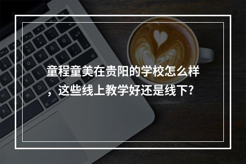 童程童美在贵阳的学校怎么样，这些线上教学好还是线下?