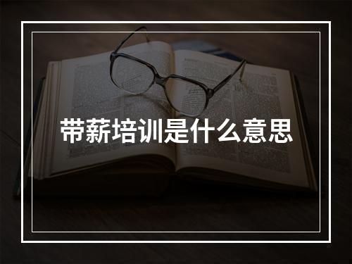 带薪培训是什么意思