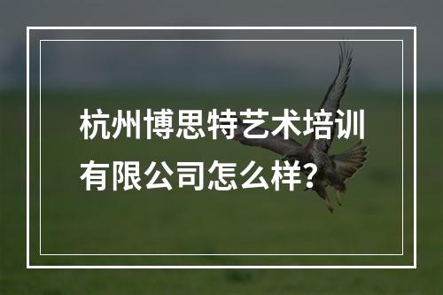 杭州博思特艺术培训有限公司怎么样？