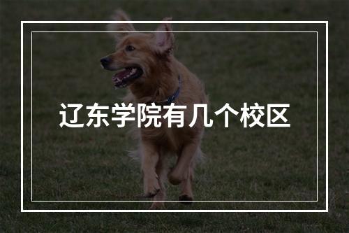 辽东学院有几个校区