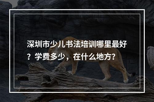 深圳市少儿书法培训哪里最好？学费多少，在什么地方？