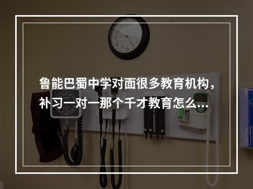 鲁能巴蜀中学对面很多教育机构，补习一对一那个千才教育怎么样？