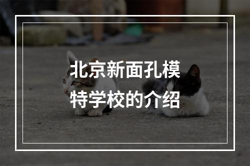 北京新面孔模特学校的介绍