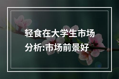 轻食在大学生市场分析:市场前景好