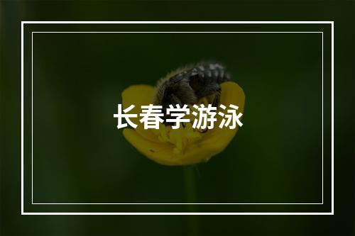 长春学游泳