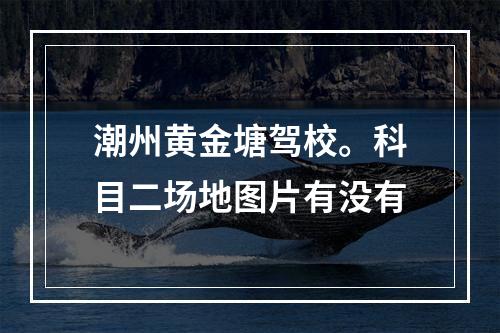 潮州黄金塘驾校。科目二场地图片有没有