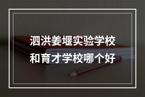 泗洪姜堰实验学校和育才学校哪个好