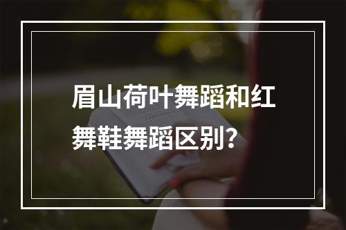 眉山荷叶舞蹈和红舞鞋舞蹈区别？