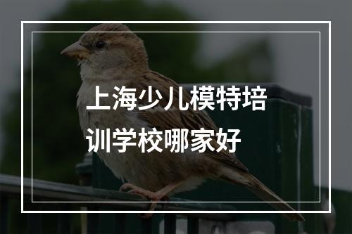 上海少儿模特培训学校哪家好